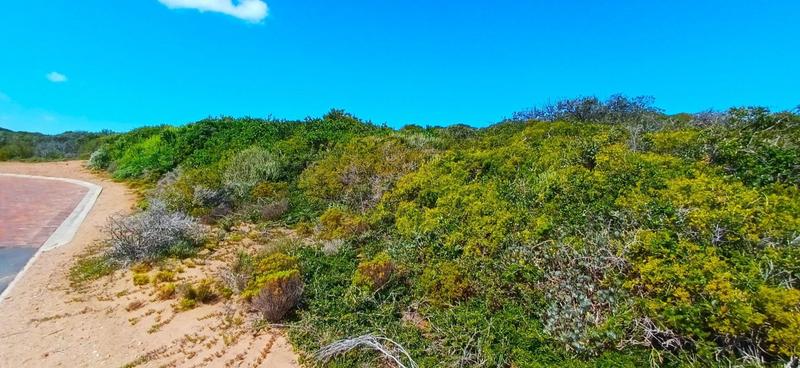 0 Bedroom Property for Sale in Moquini Coastal Estate Western Cape